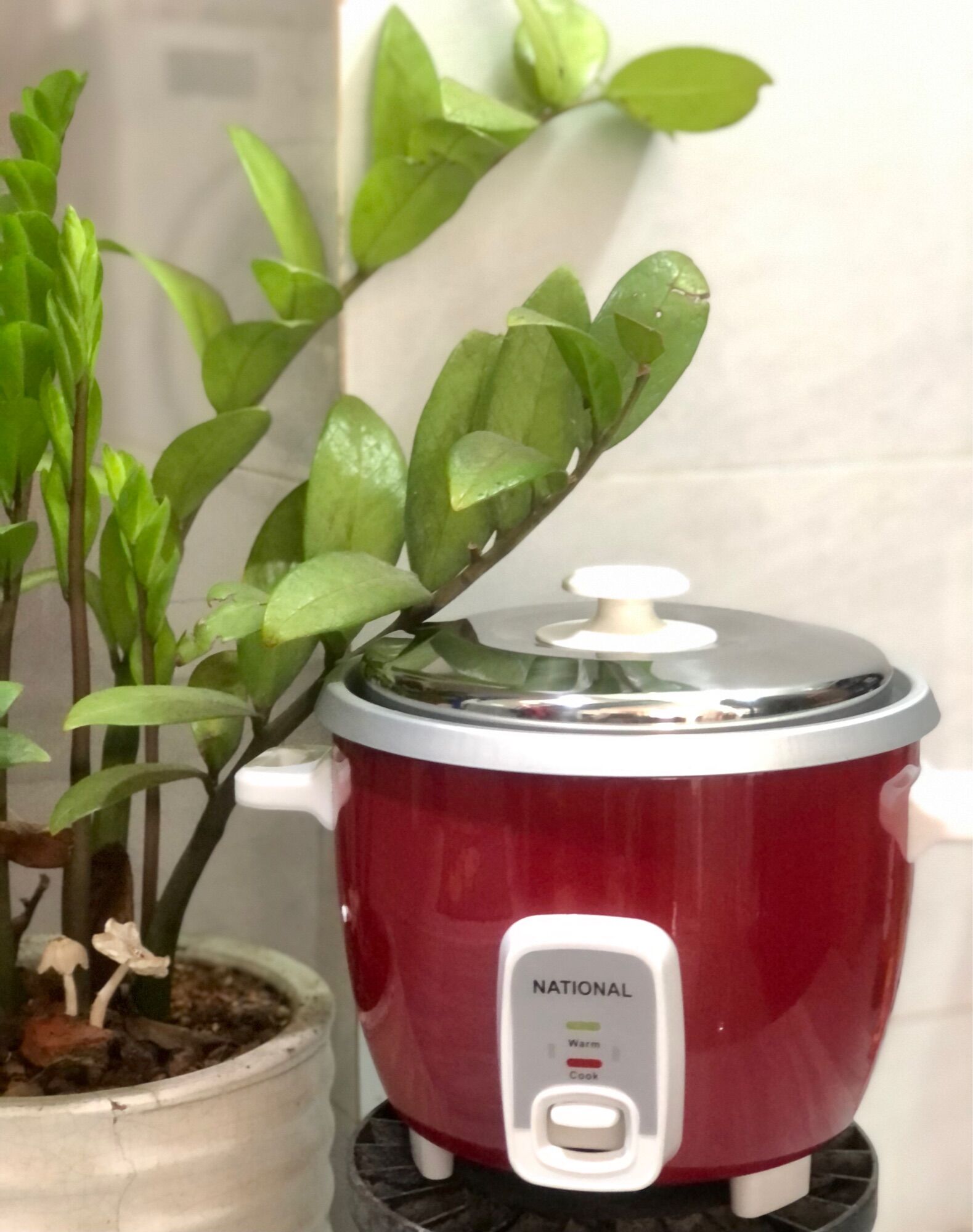 [HCM]Nồi cơm điện 1 L