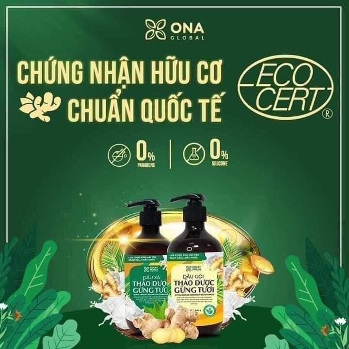 Gội xả thảo dược gừng dừa hữu cơ Cỏ cây hoa lá Việt Nam
