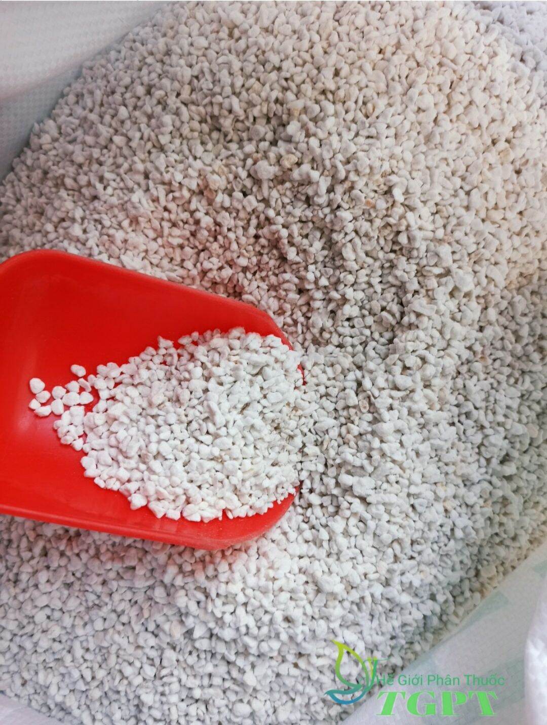 Đá perlite - đá trân châu để trộn 3-5kg giá thể trồng sen đá, xương rồng gói 100g