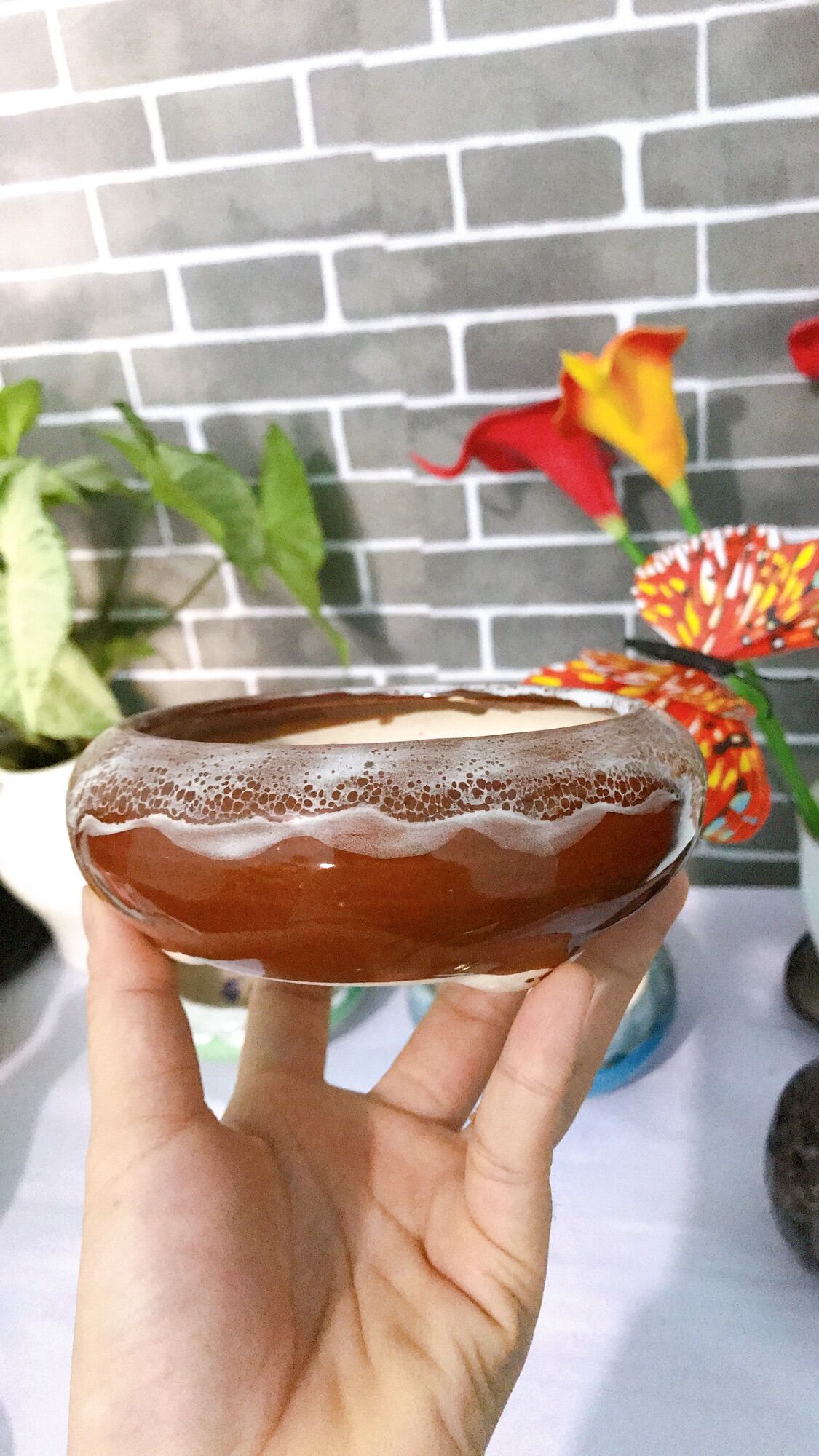 Chậu sứ ang tròn thấp trồng cây