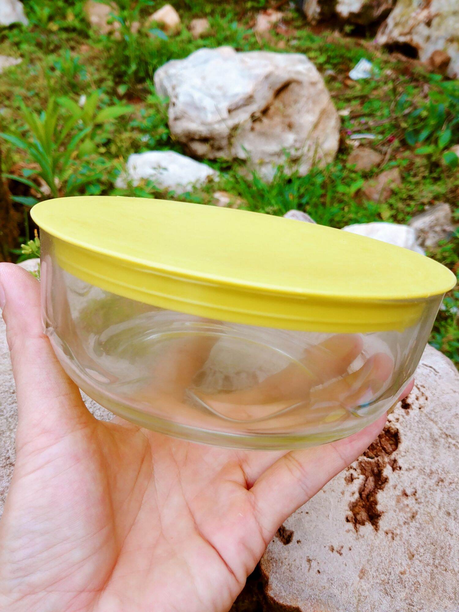 Thố thủy tinh cao cấp có nắp (bộ 3 thố)