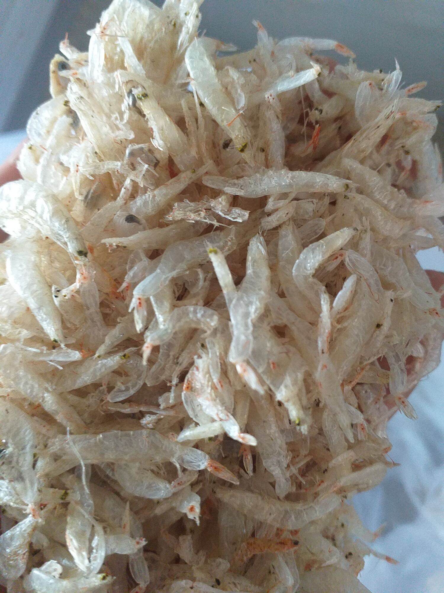 Ruốc khô 1kg Bạc Liêu