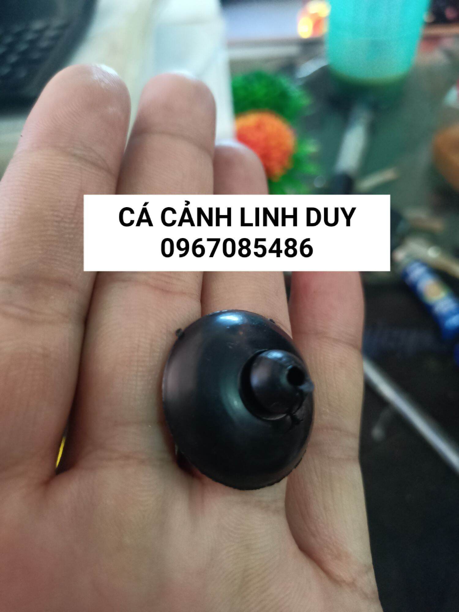 Hít Giữ chân máy ( 5cái )