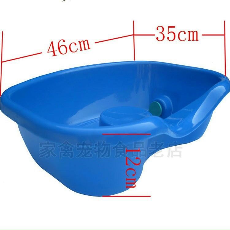 Máng gội cao cấp