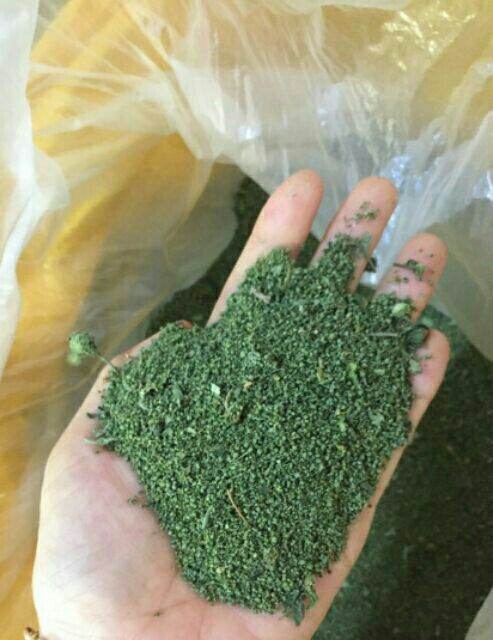 1kg nụ tấm tam thất