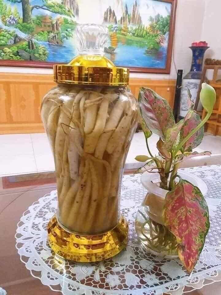 1kg đẳng sâm rừng Tây Bắc tươi