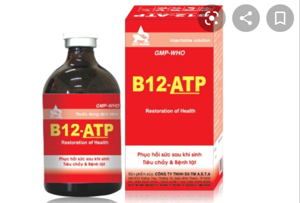 B12 ATP 50ml phục hồi sức khỏe