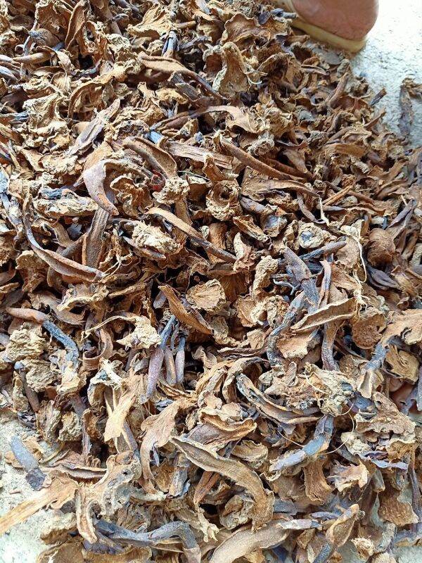 1kg nấm ngọc cẩu khô