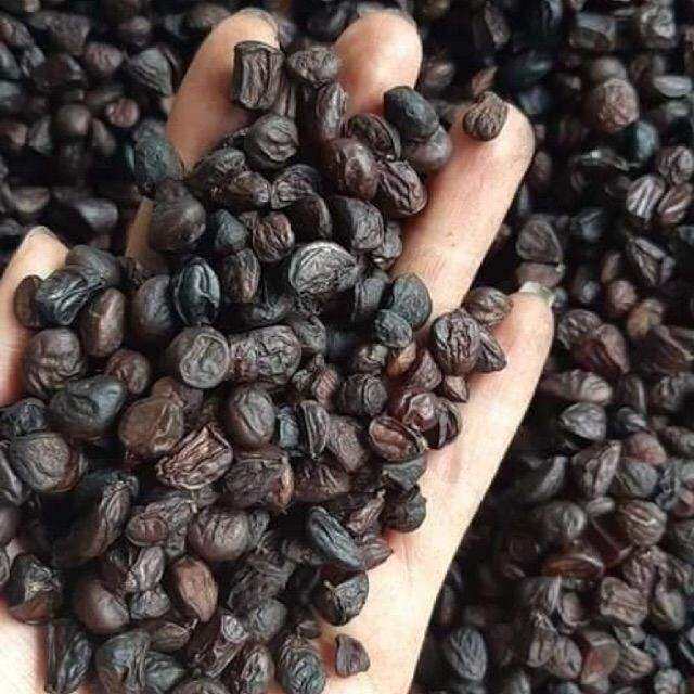 100g hạt dổi nếp rừng