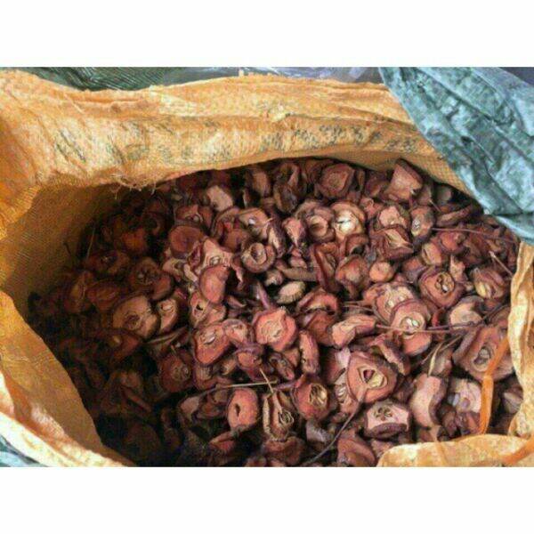 500g táo mèo khô