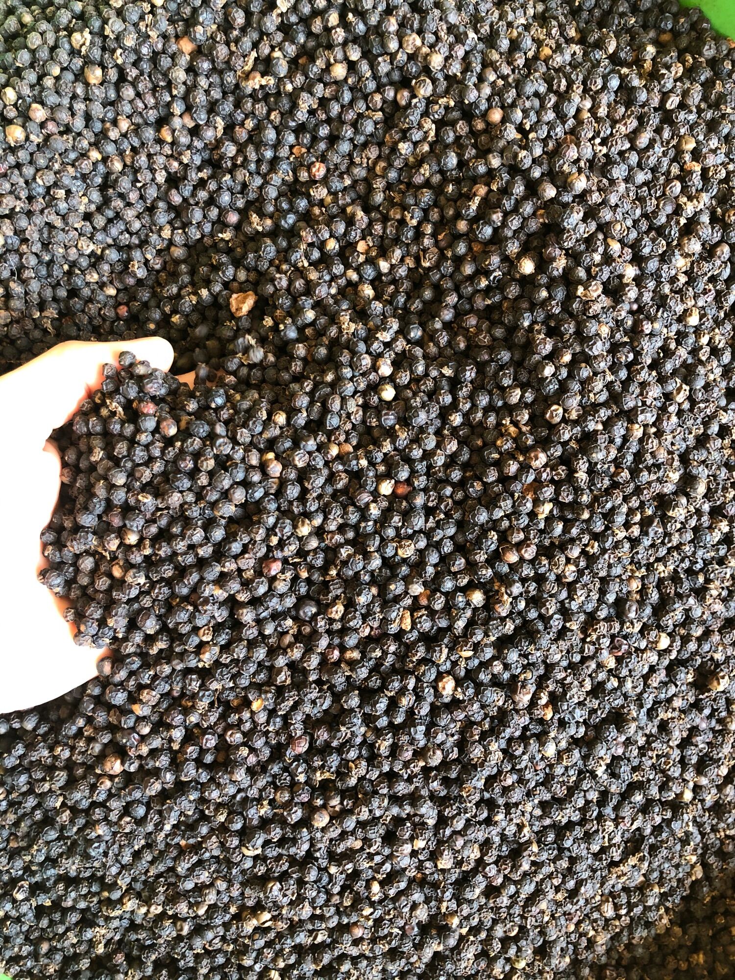 Tiêu khô đăklak - 500gr