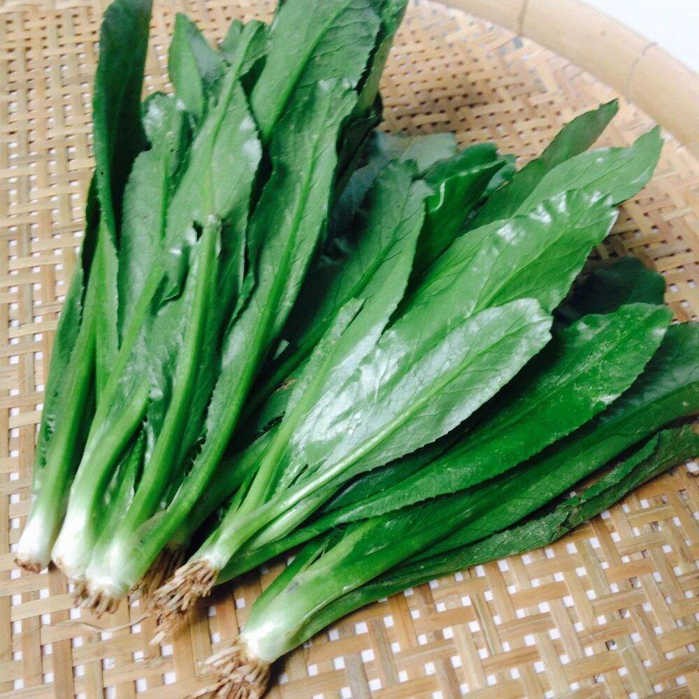 Hạt giống ngò gai 100gram.