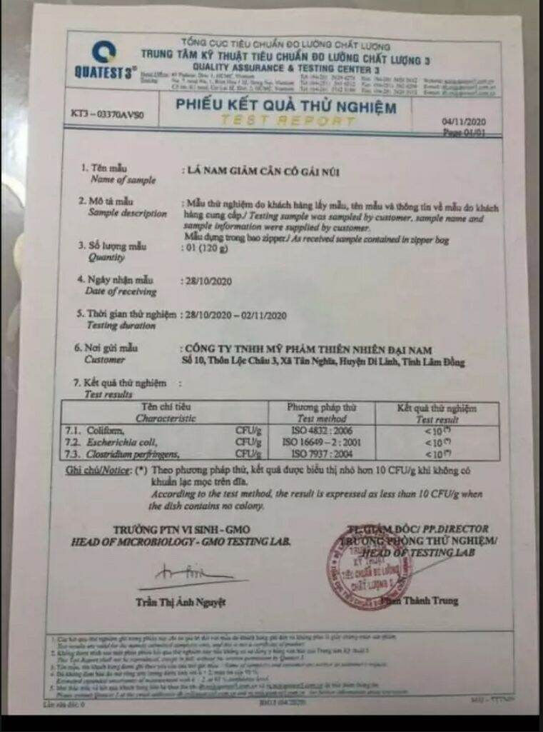 lá nam giảm cân CÔ GÁI NÚI