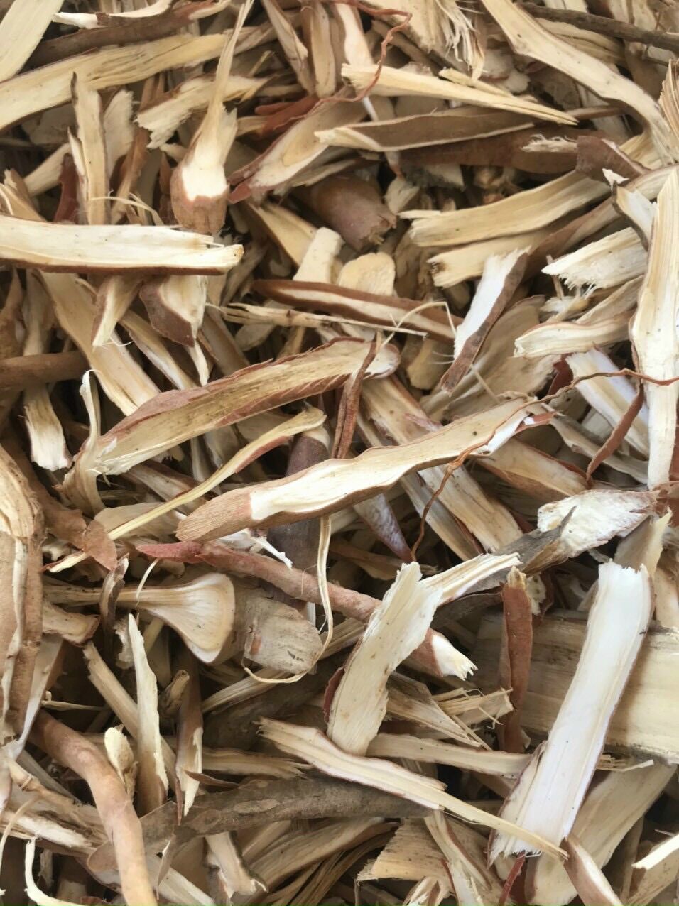 1kg sâm cau khô, hàng lựa đẹp
