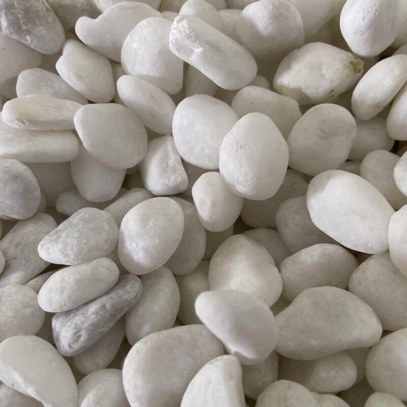 Sỏi trắng trang trí cây cảnh, bể cá 1kg