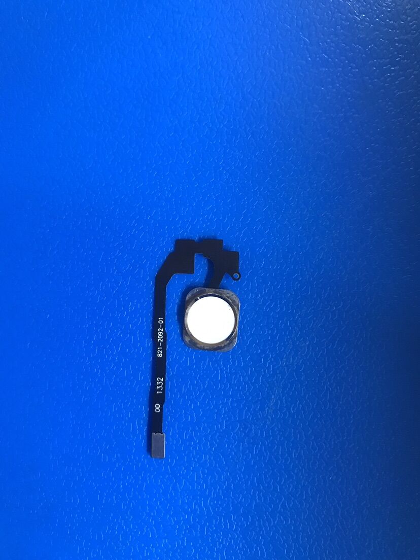 Nút home iphone 5s