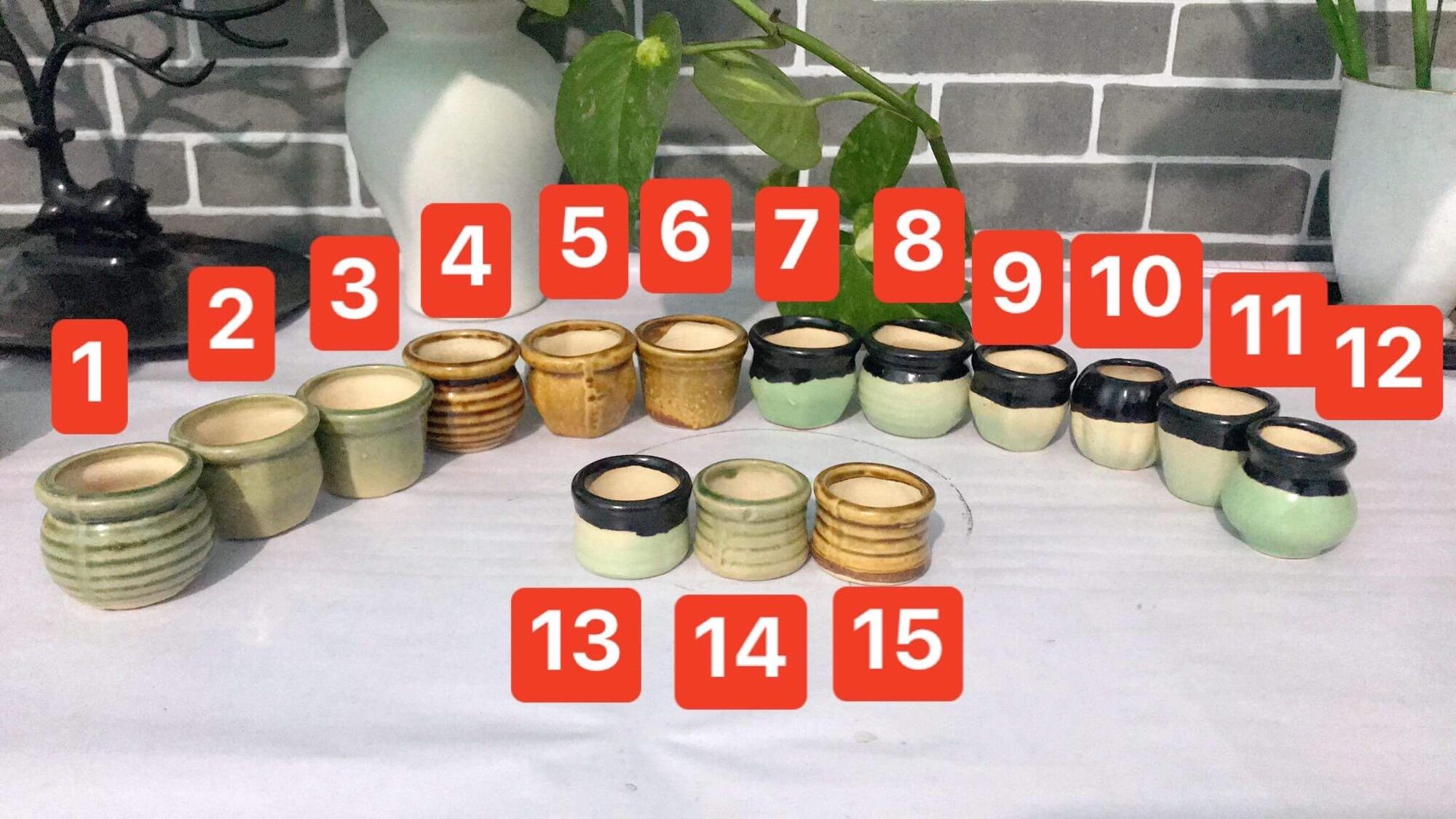 Chậu sứ mini trồng sen đá, làm handmade