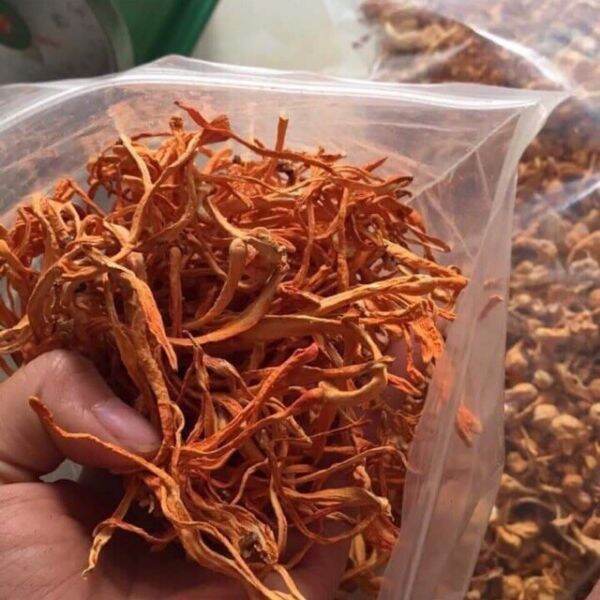 1kg nấm đông trùng hạ thảo