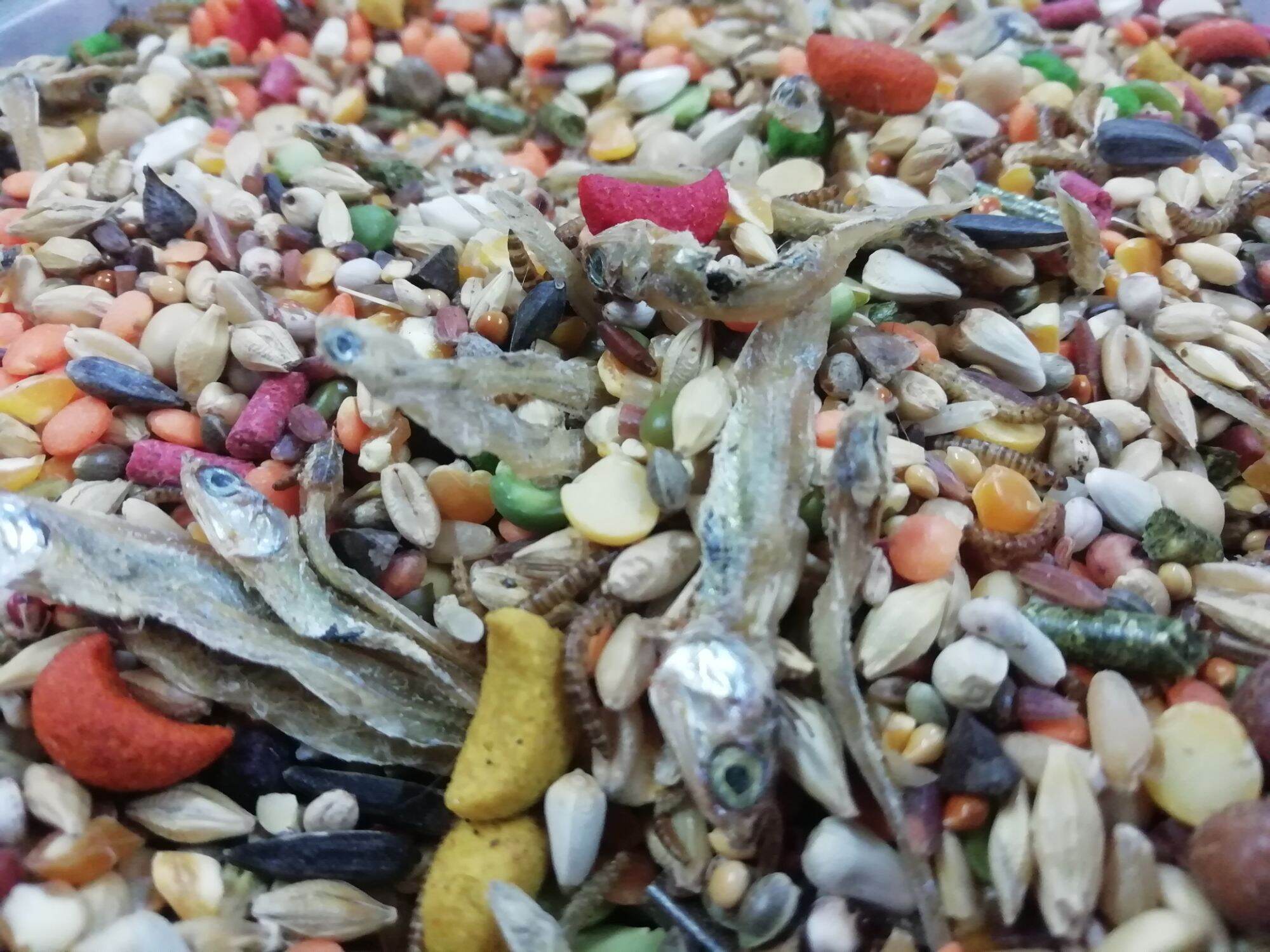 Thức ăn hamster hải sản gói 150g