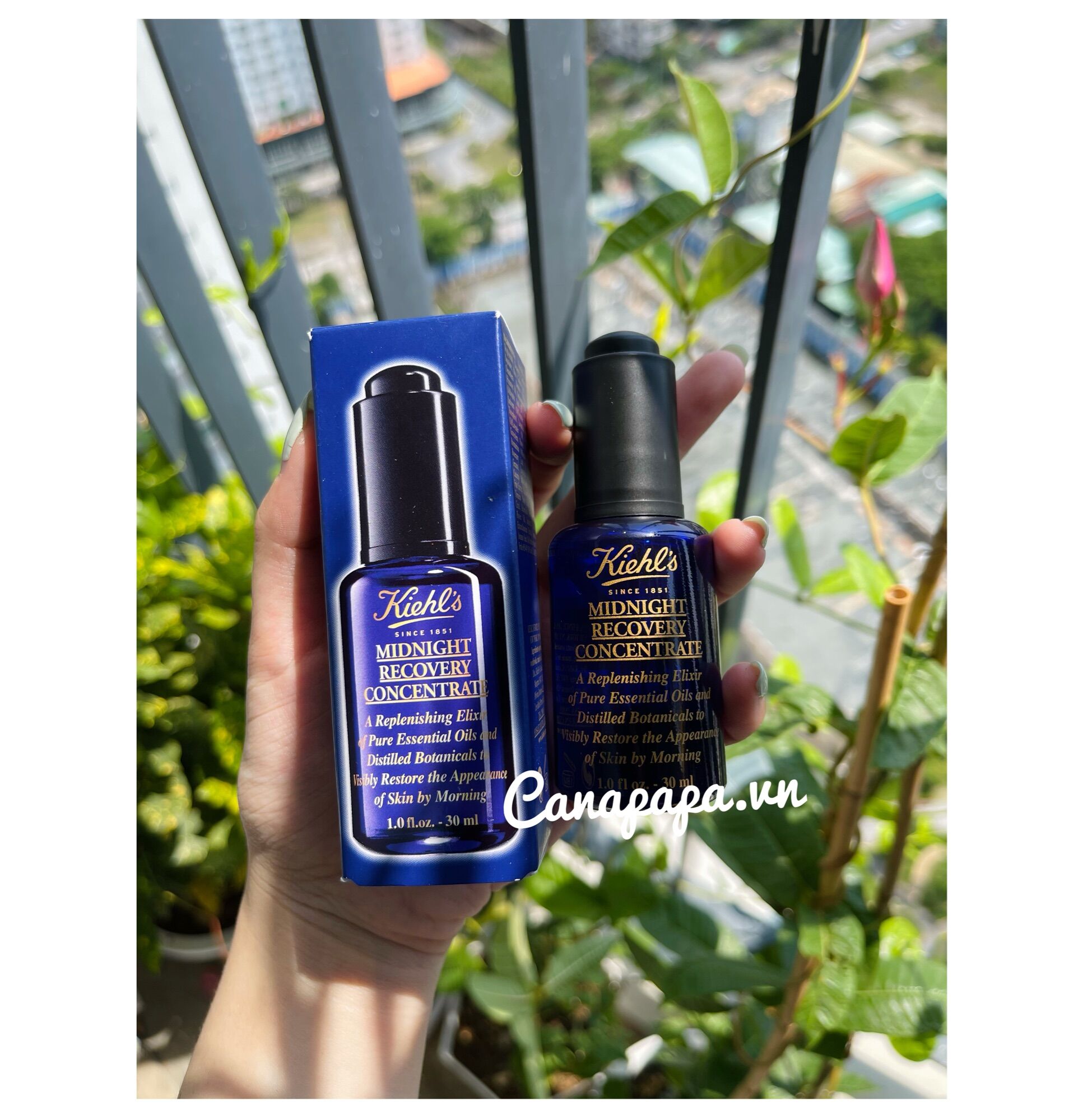 Serum ban đêm Kiehl’s Midnight Recovery Concentrate
