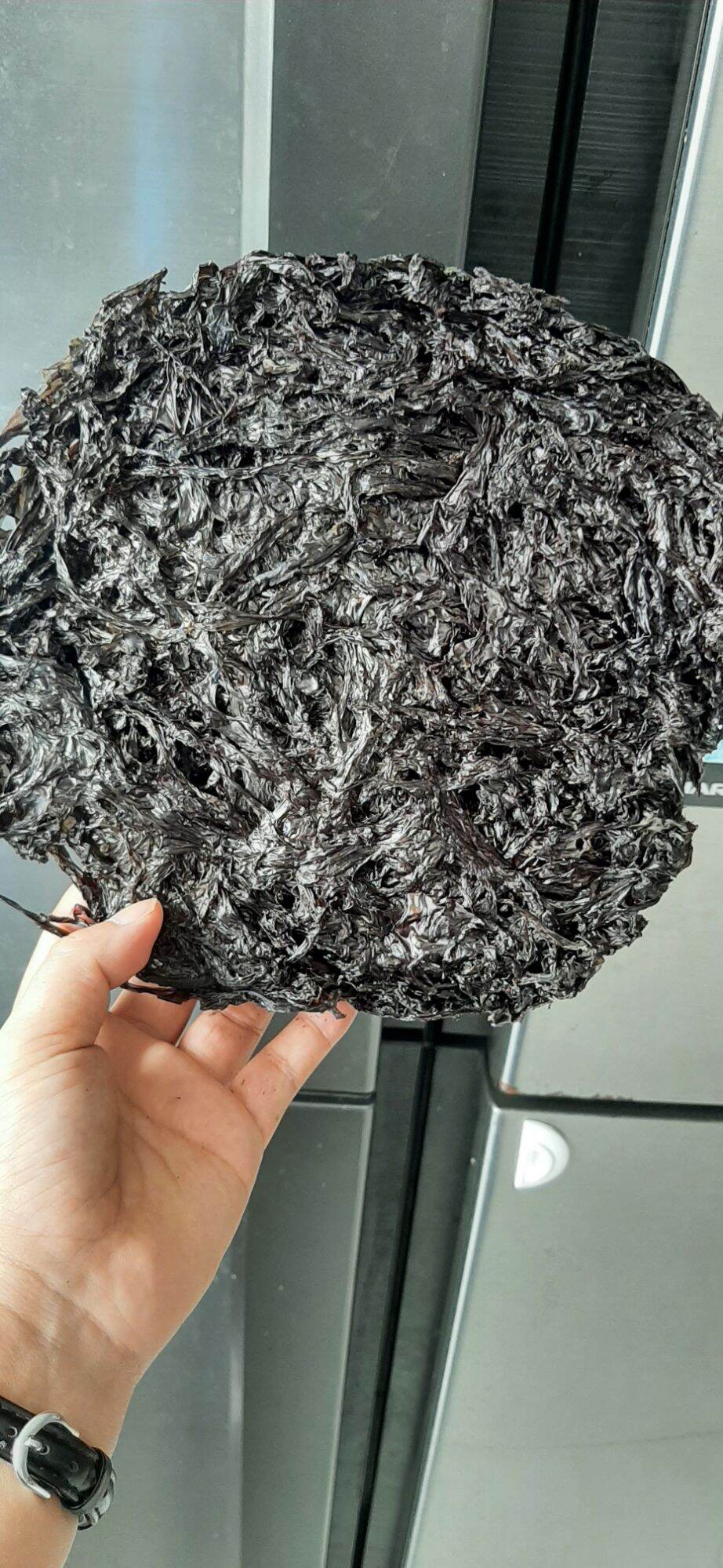 Rong mức khô [loại rong tự nhiên loại 1 bánh dày] 100gram | Lazada.vn