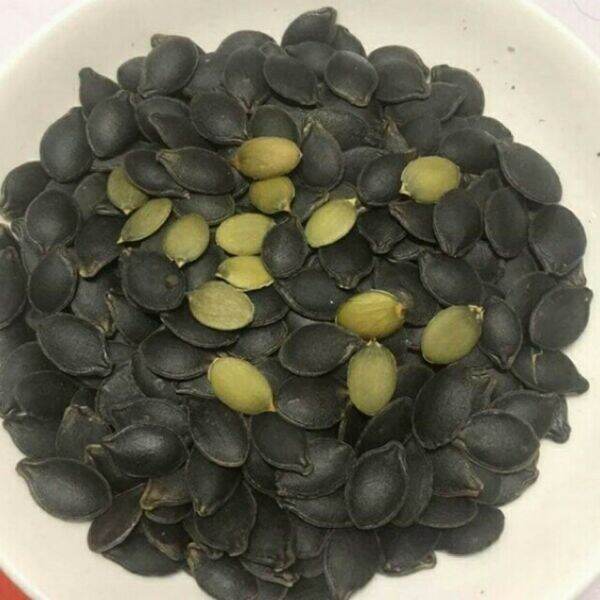 1kg hạt bí mèo đen