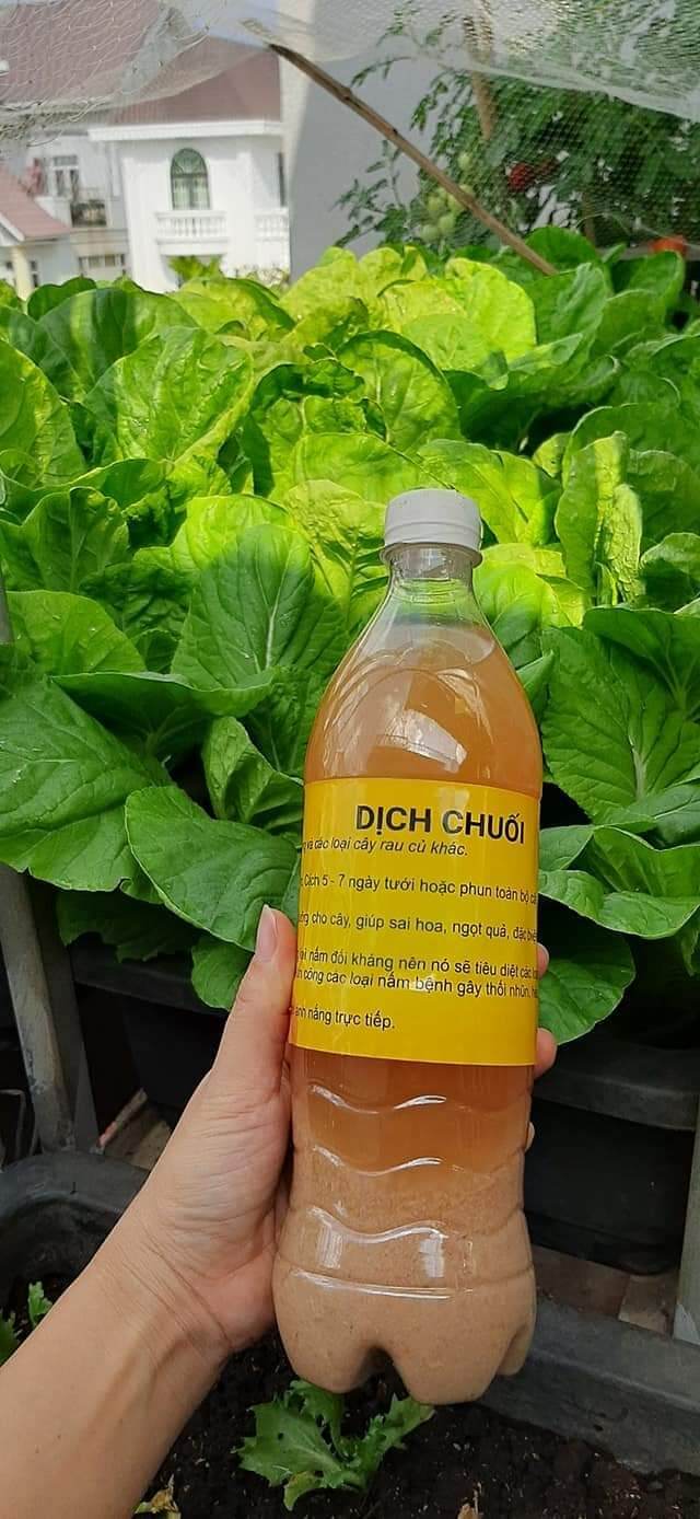 dịch chuối nhà làm 300ML( MUA 900ML TẶNG THÊM 100ML)