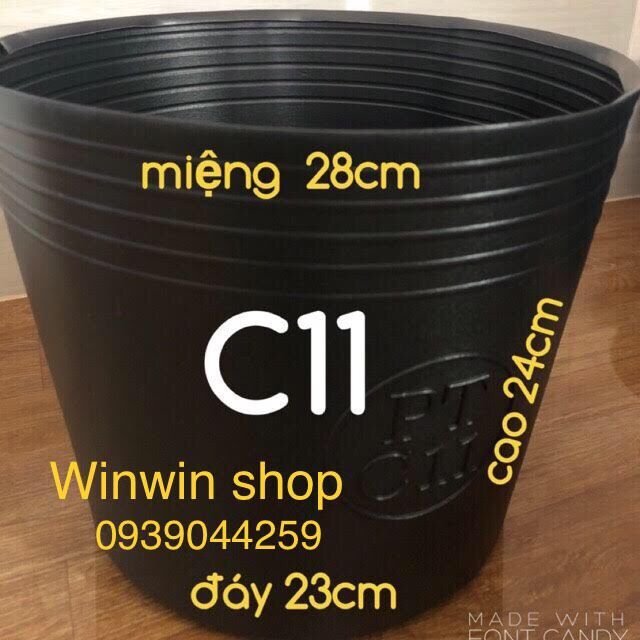 50 chậu nhựa trồng cây C11, combo 50 cái chậu C11 trồng cây cảnh