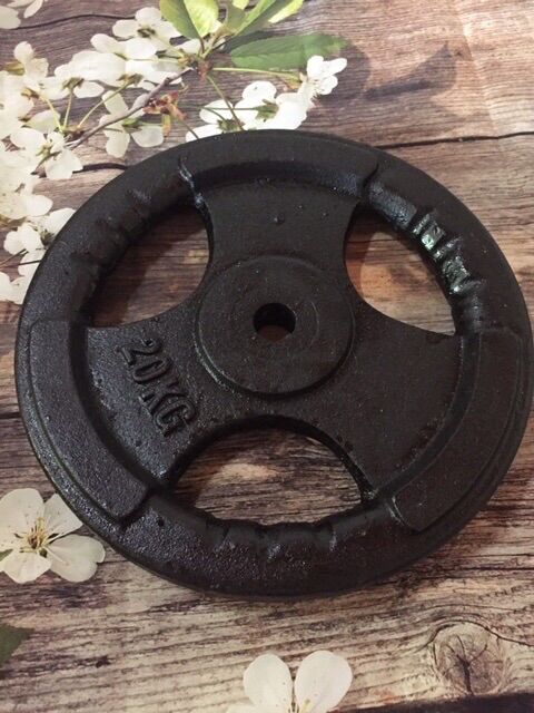 Tạ Gang, Tạ Miếng Gang 3 Lỗ 20Kg