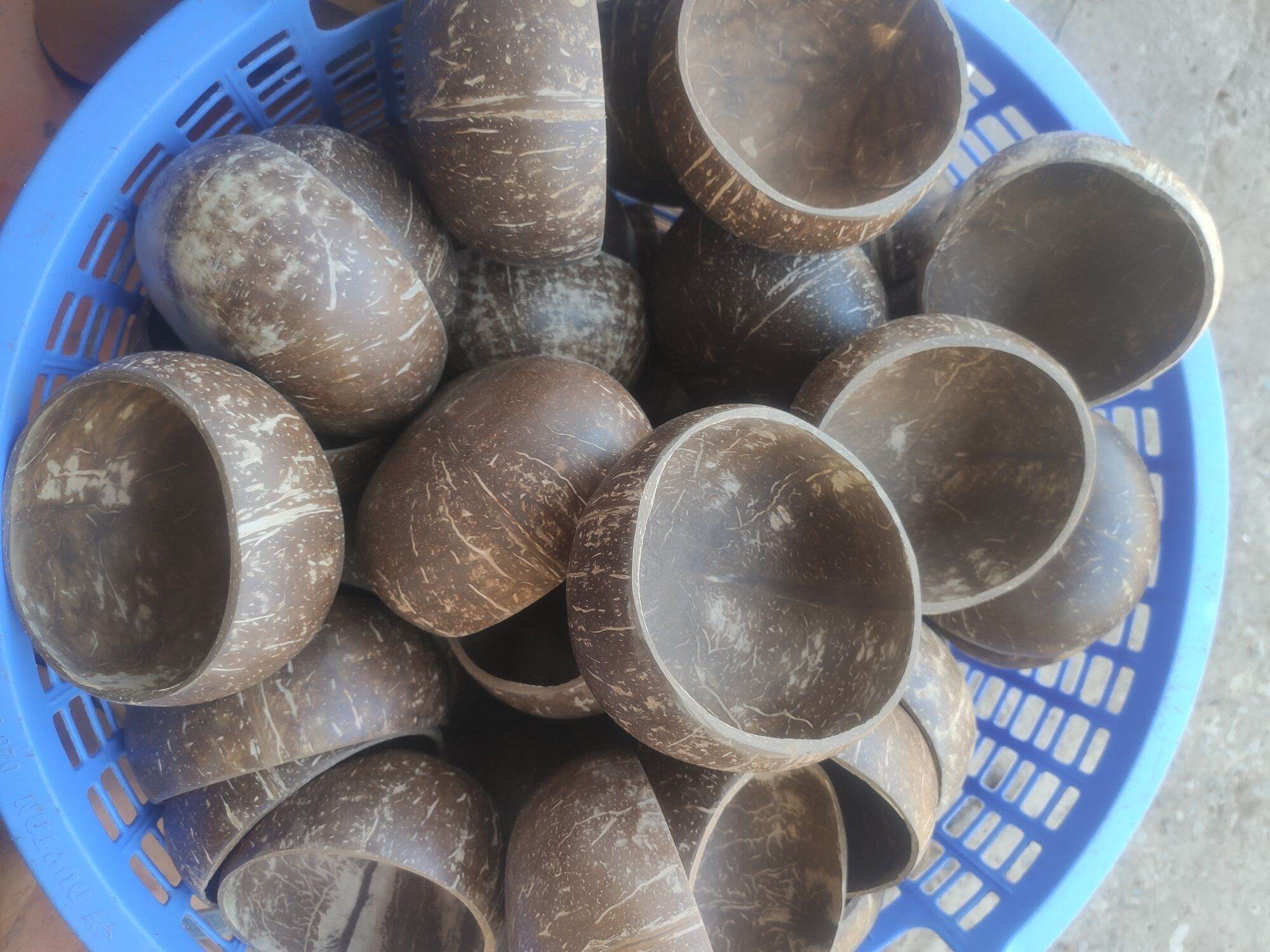 Chén Gáo Dừa - Coconut Bowl