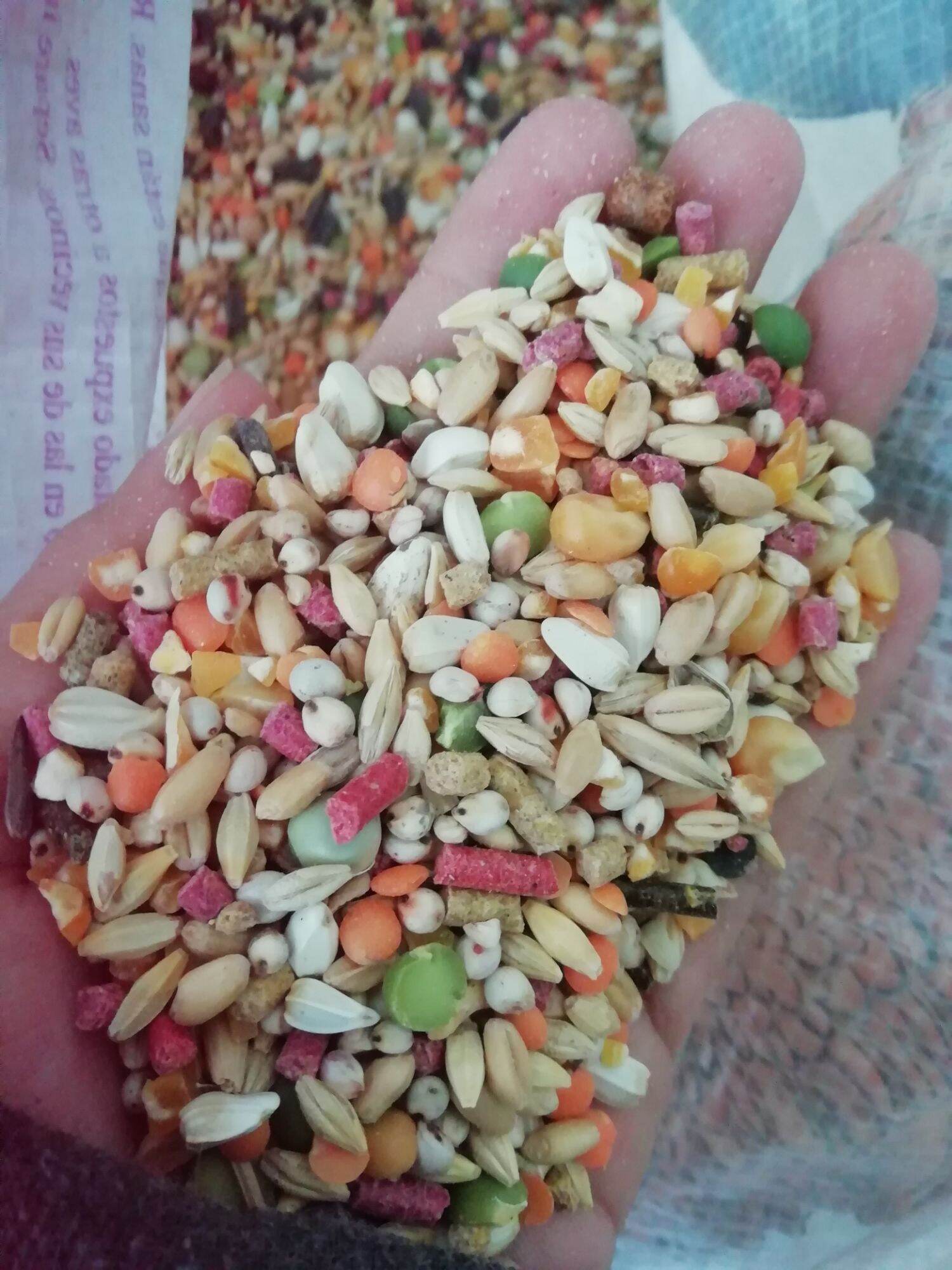 [HCM]Thức ăn cao cấp cho gà.