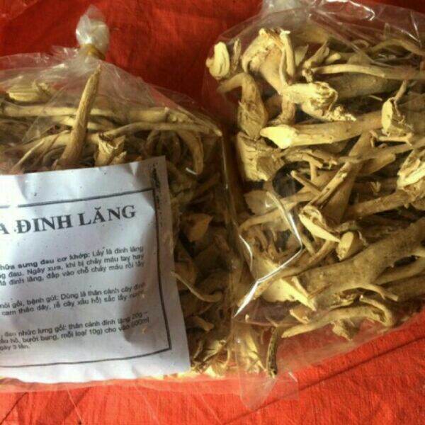 500g rễ đinh lăng