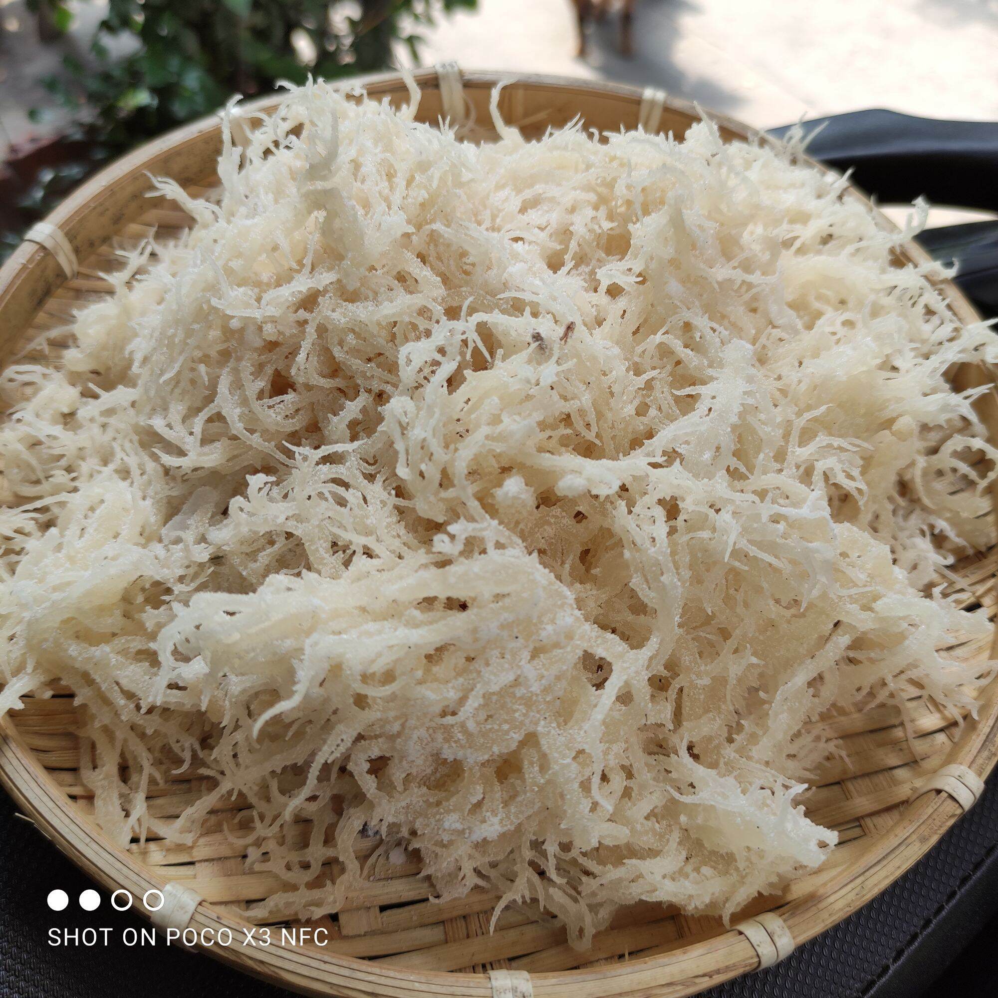 2.5kg rong sụn gai - rong sụn muối