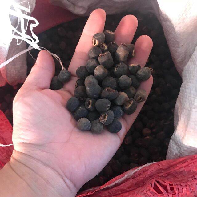500g HẠT CHUỐI RỪNG CÔ ĐƠN