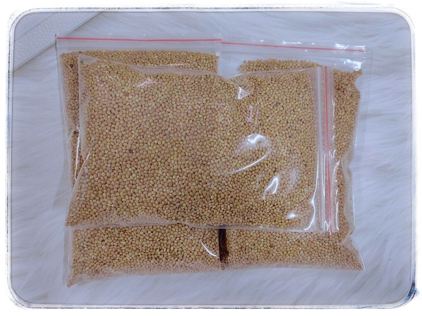 Kê hạt vàng- Thức ăn hamster, chim, vẹt,yến, phụng