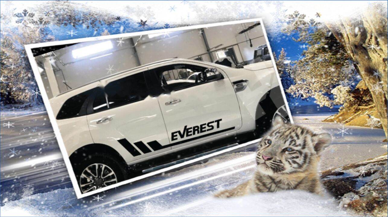[HCM]tem dán xe everest