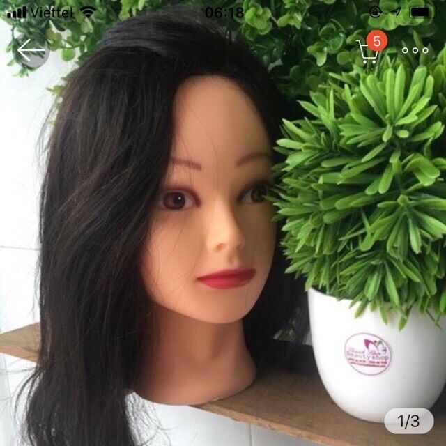 [HCM]Đầu Ken tóc thật 100% cho salon uốn duỗi làm hoá chất( uốn  duỗi  nhuộm  tạo kiểu)