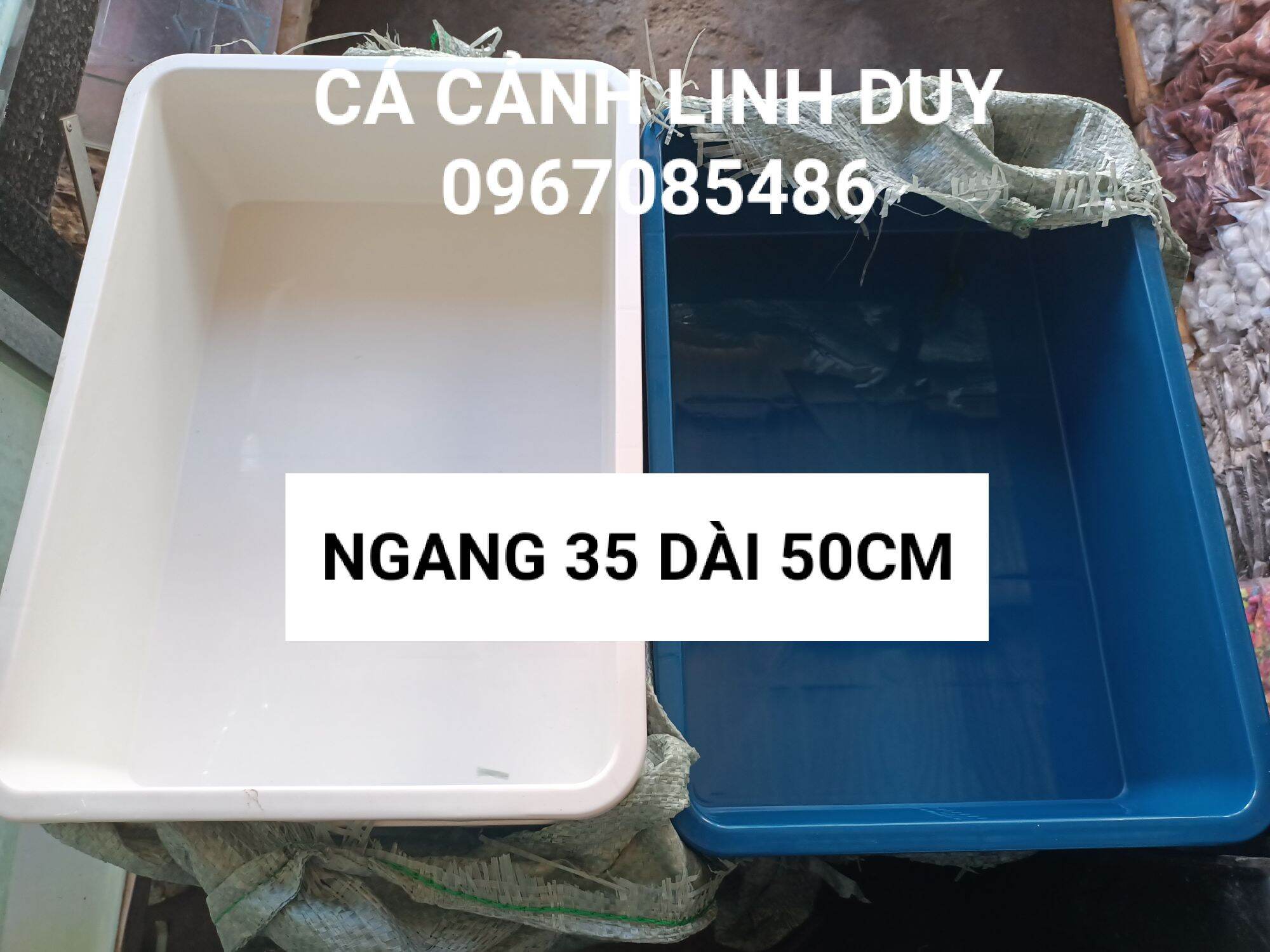 Khay nhựa nuôi cá , trồng rau ( Combo 2cái Xanh ) 35 x 50 x 13cm