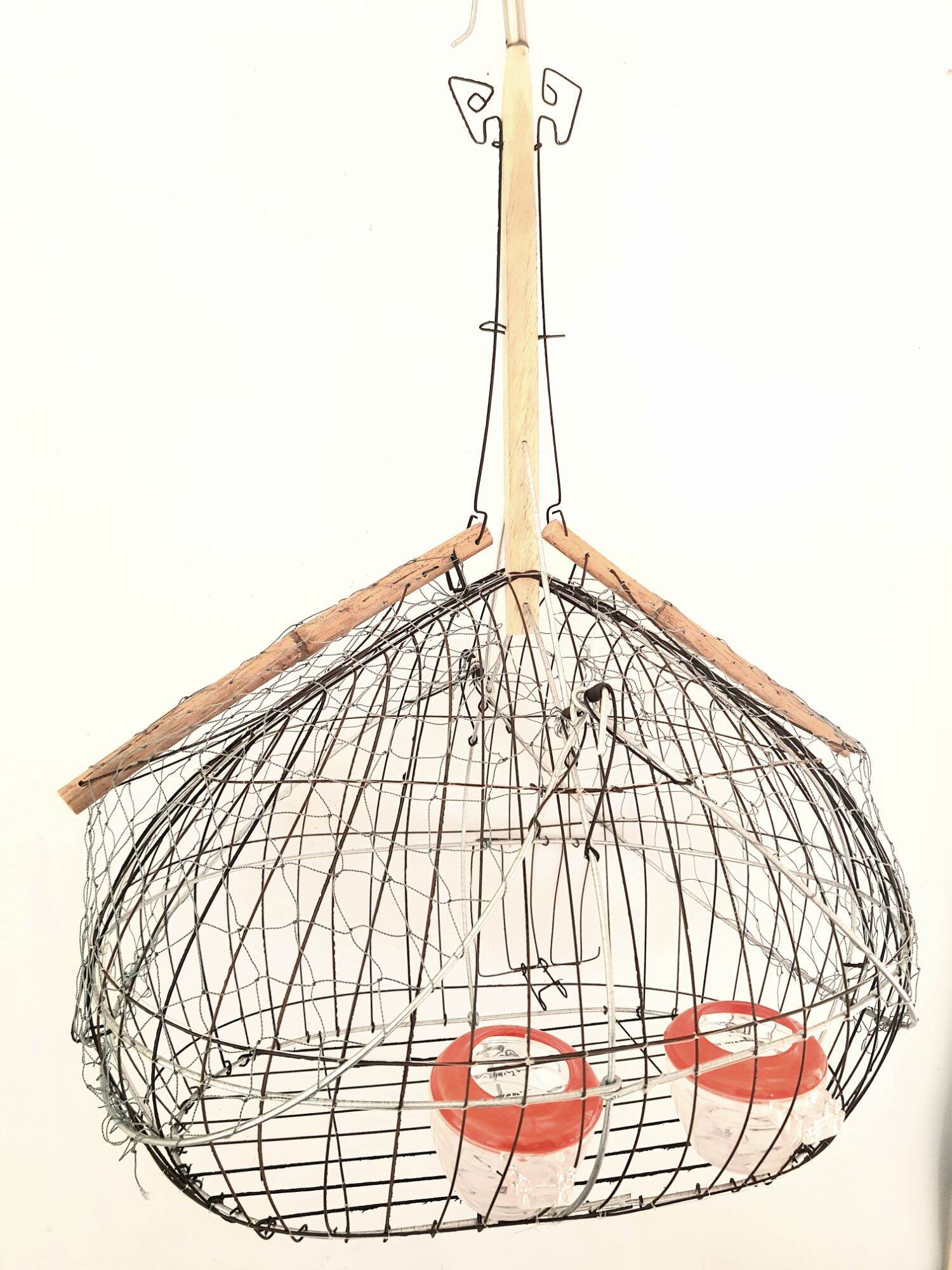 Lồng bẫy chim chào mào giá rẻ