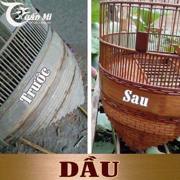 DẦU Ủ LỒNG thương hiệu Tuấn Mi (Chai 1 lít)