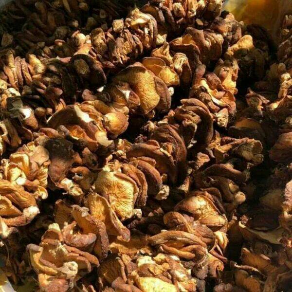 300g nấm hương rừng