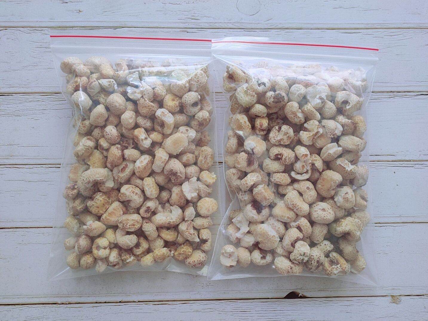Bắp nổ-100gr Thức ăn dành cho hamster, ăn dặm hamster