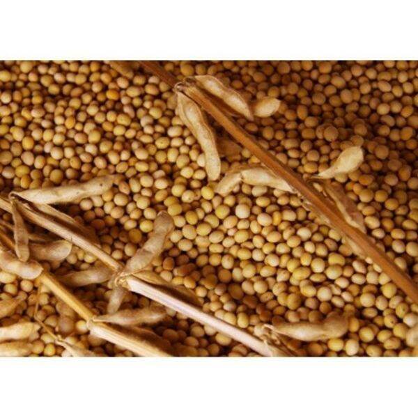 500g đỗ tương