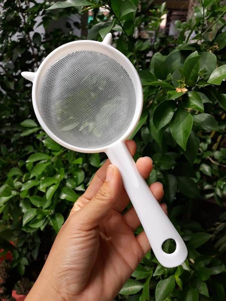 combo nấm sữa kefir 5gr và rây lộc nấm 9cm...