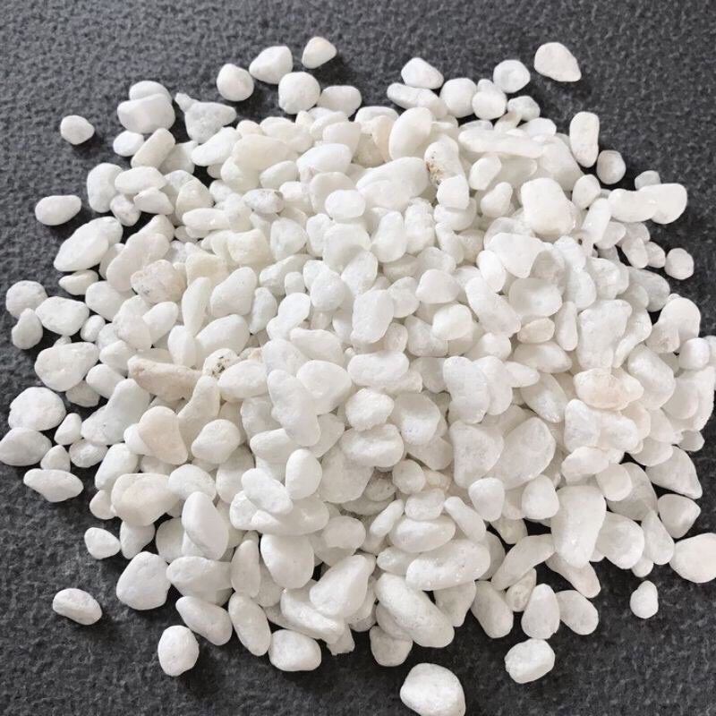 Sỏi trắng trang trí cây cảnh, bể cá 1kg