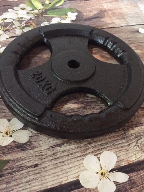 Tạ Gang, Tạ Miếng Gang 3 Lỗ 20Kg
