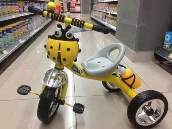 Xe đạp 3 bánh con bọ 295