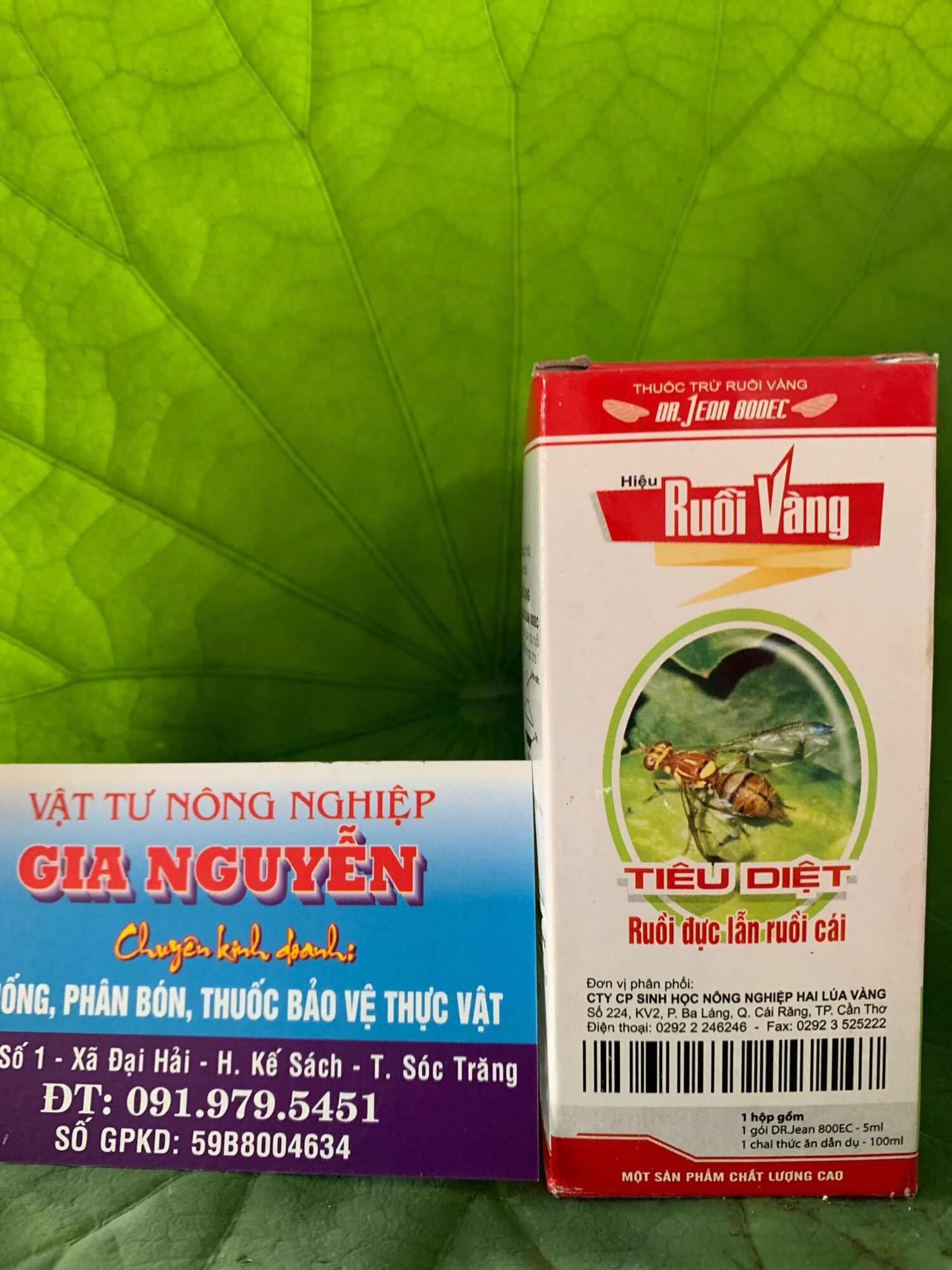 Diệt ruồi vàng dr jean 800ec