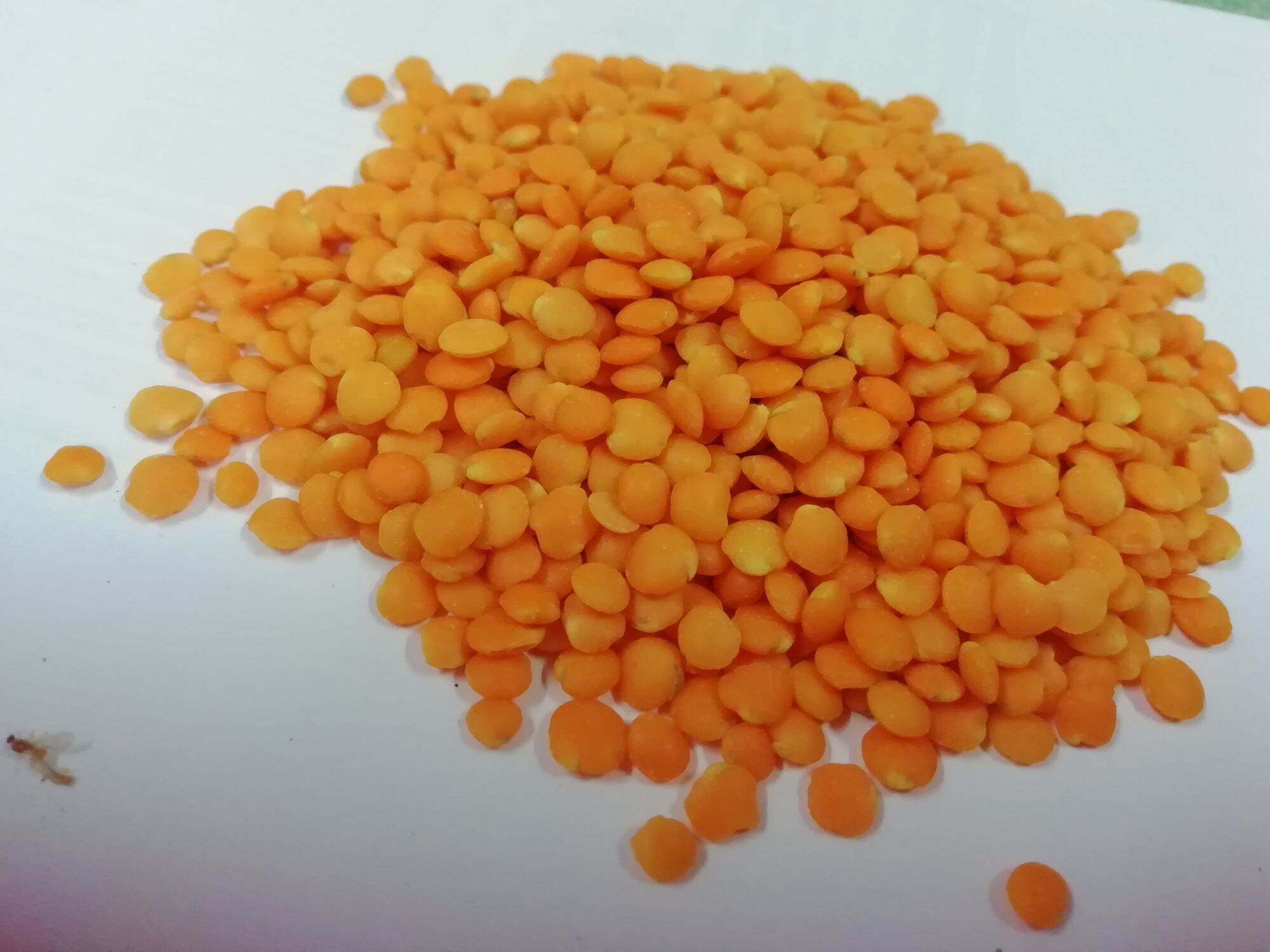 [HCM]Hạt lăng siêu dinh dưỡng 100g