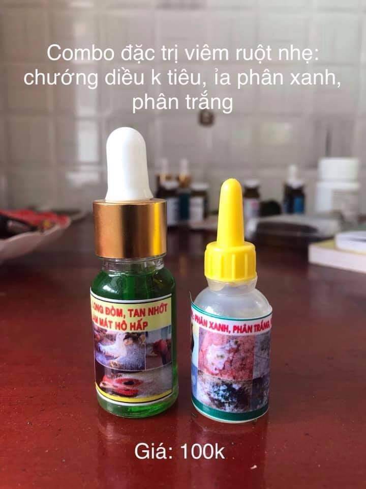 Phân xanh Phân trắng chướng diều